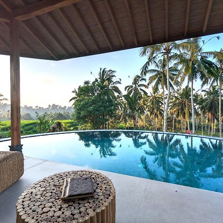 Puri Dajuma Terrace Eco Lodge & Spa Selemadeg  Exteriör bild