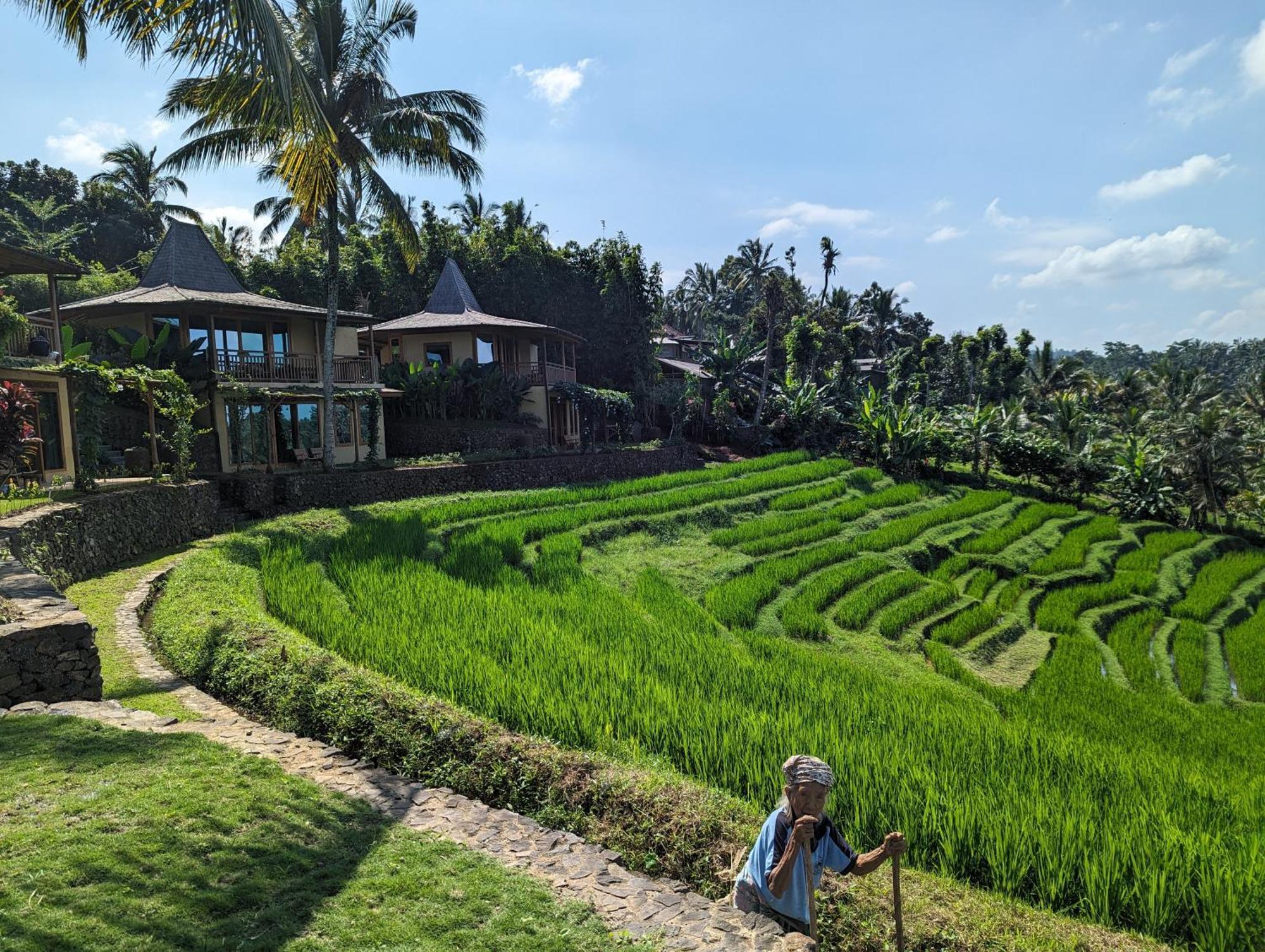 Puri Dajuma Terrace Eco Lodge & Spa Selemadeg  Exteriör bild