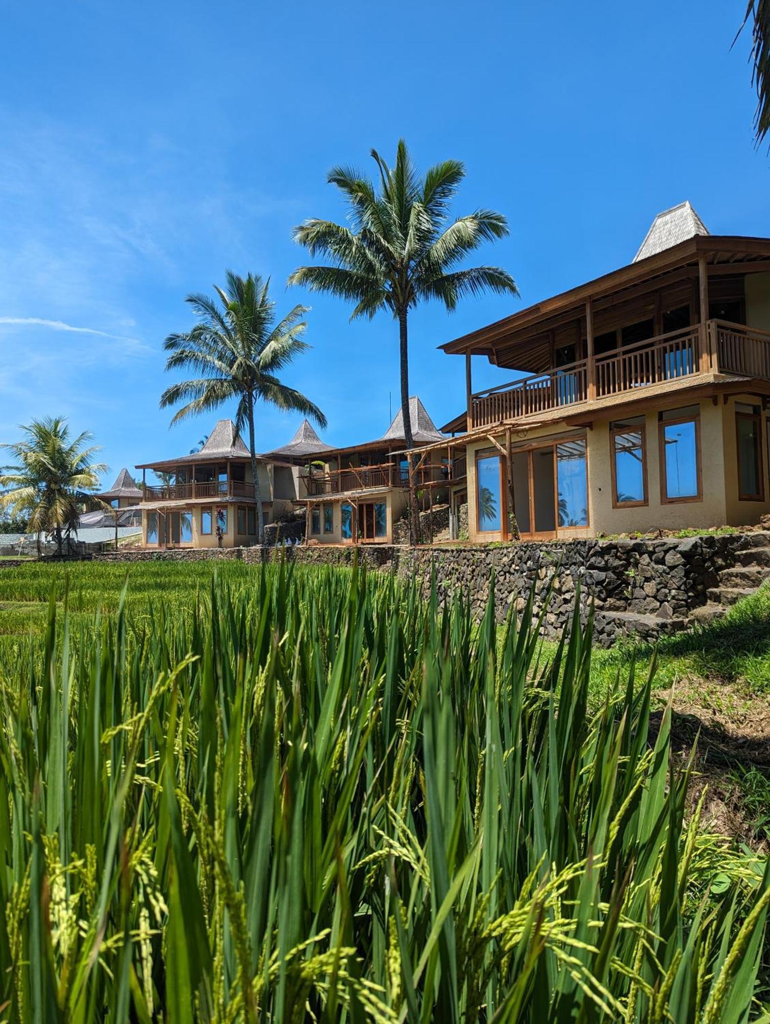 Puri Dajuma Terrace Eco Lodge & Spa Selemadeg  Exteriör bild