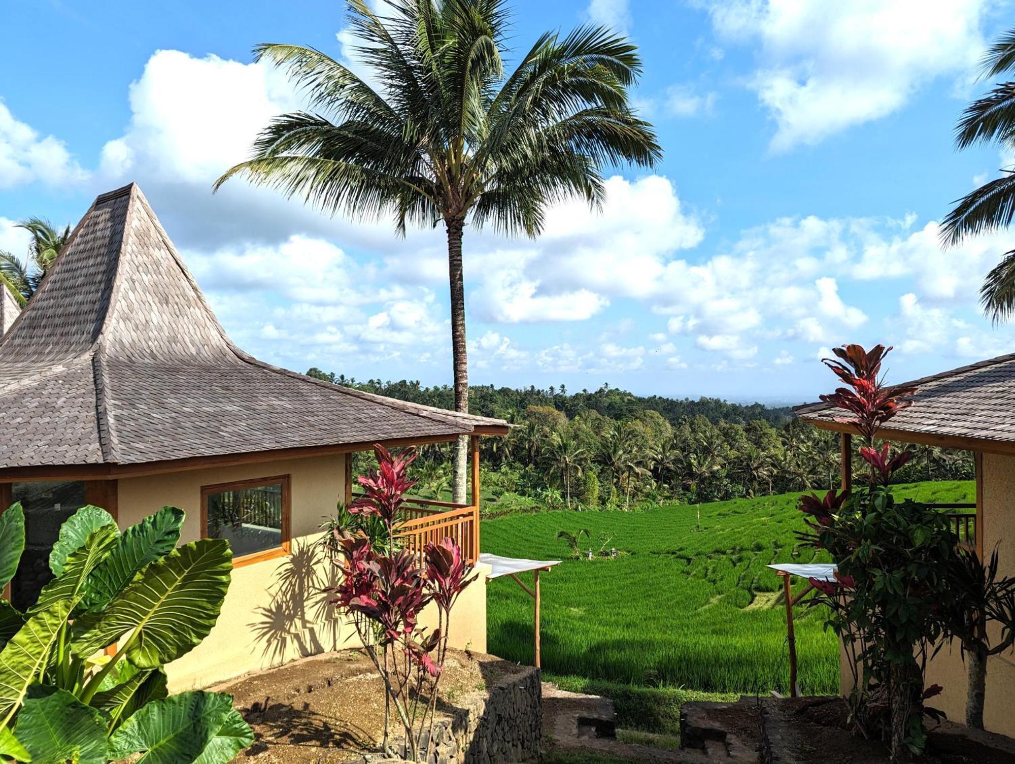 Puri Dajuma Terrace Eco Lodge & Spa Selemadeg  Exteriör bild