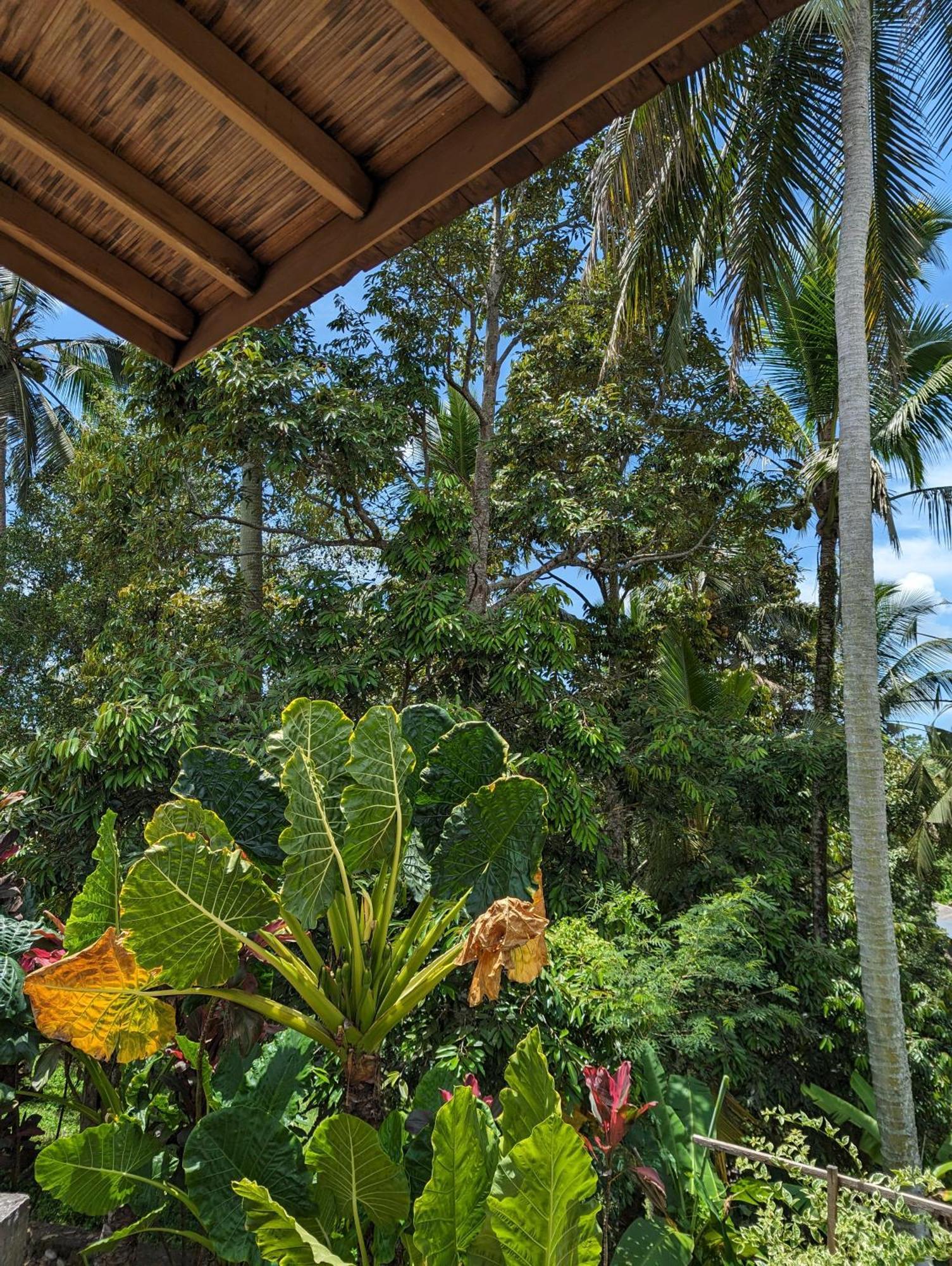 Puri Dajuma Terrace Eco Lodge & Spa Selemadeg  Exteriör bild