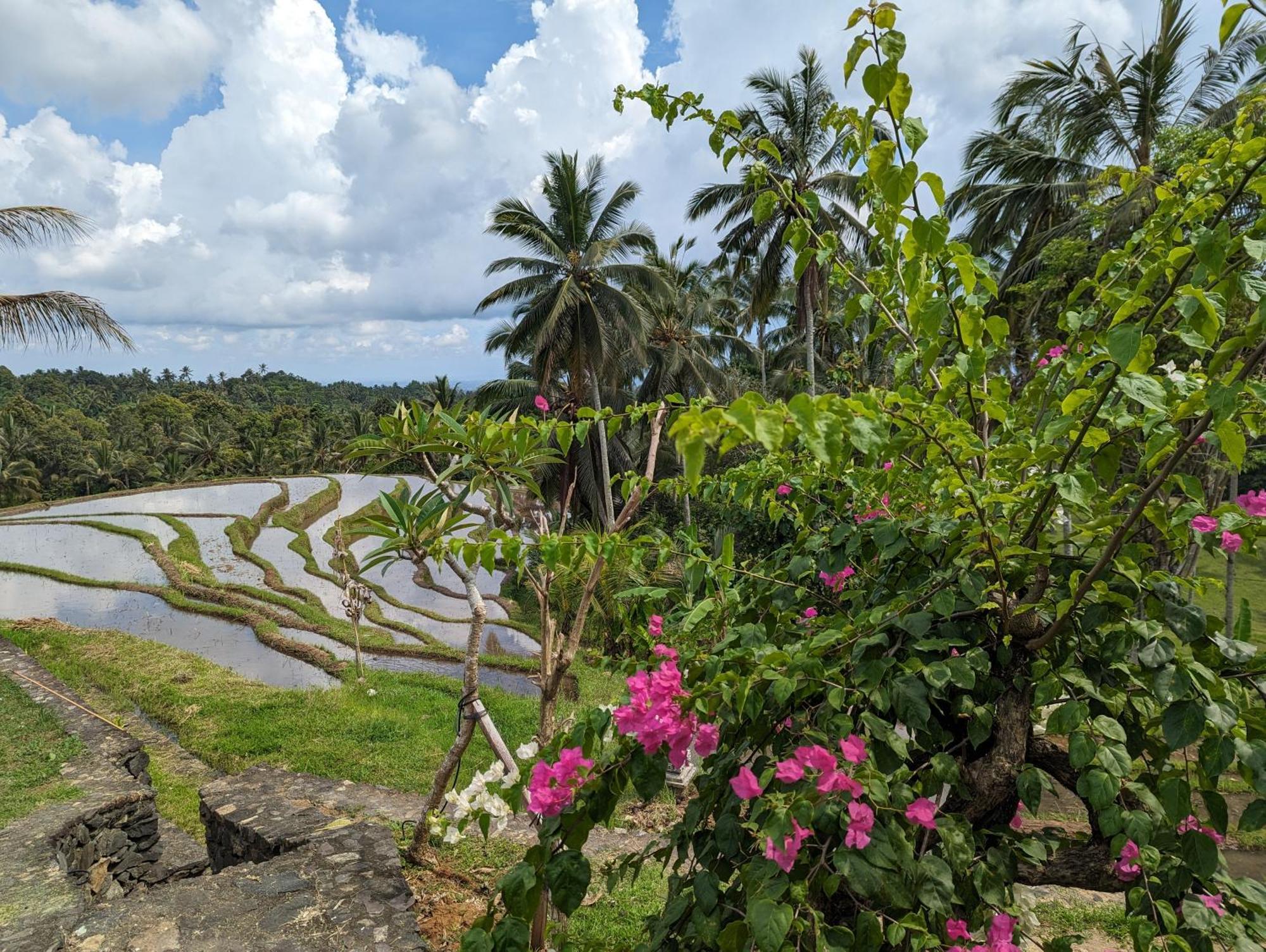 Puri Dajuma Terrace Eco Lodge & Spa Selemadeg  Exteriör bild