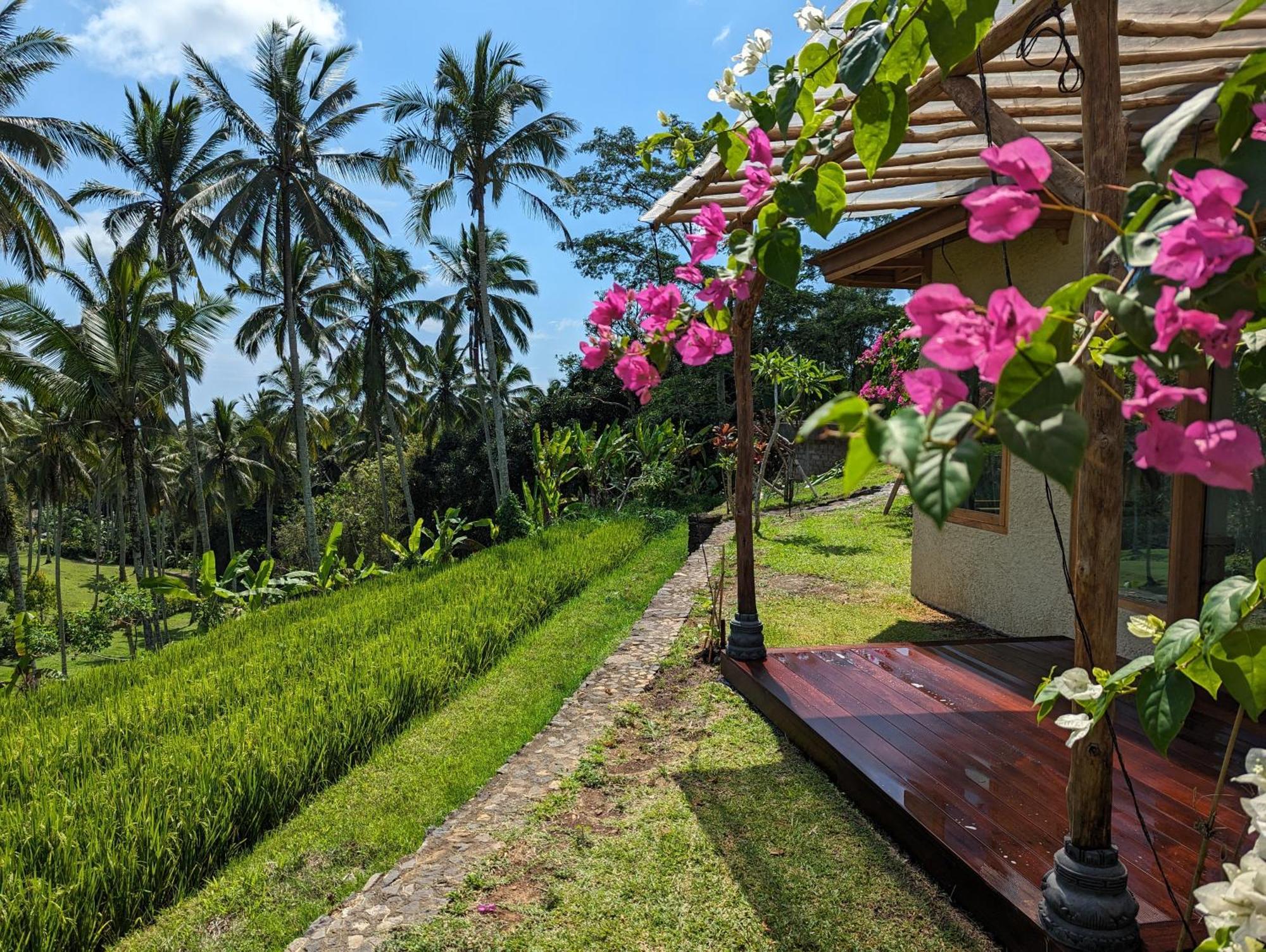 Puri Dajuma Terrace Eco Lodge & Spa Selemadeg  Exteriör bild