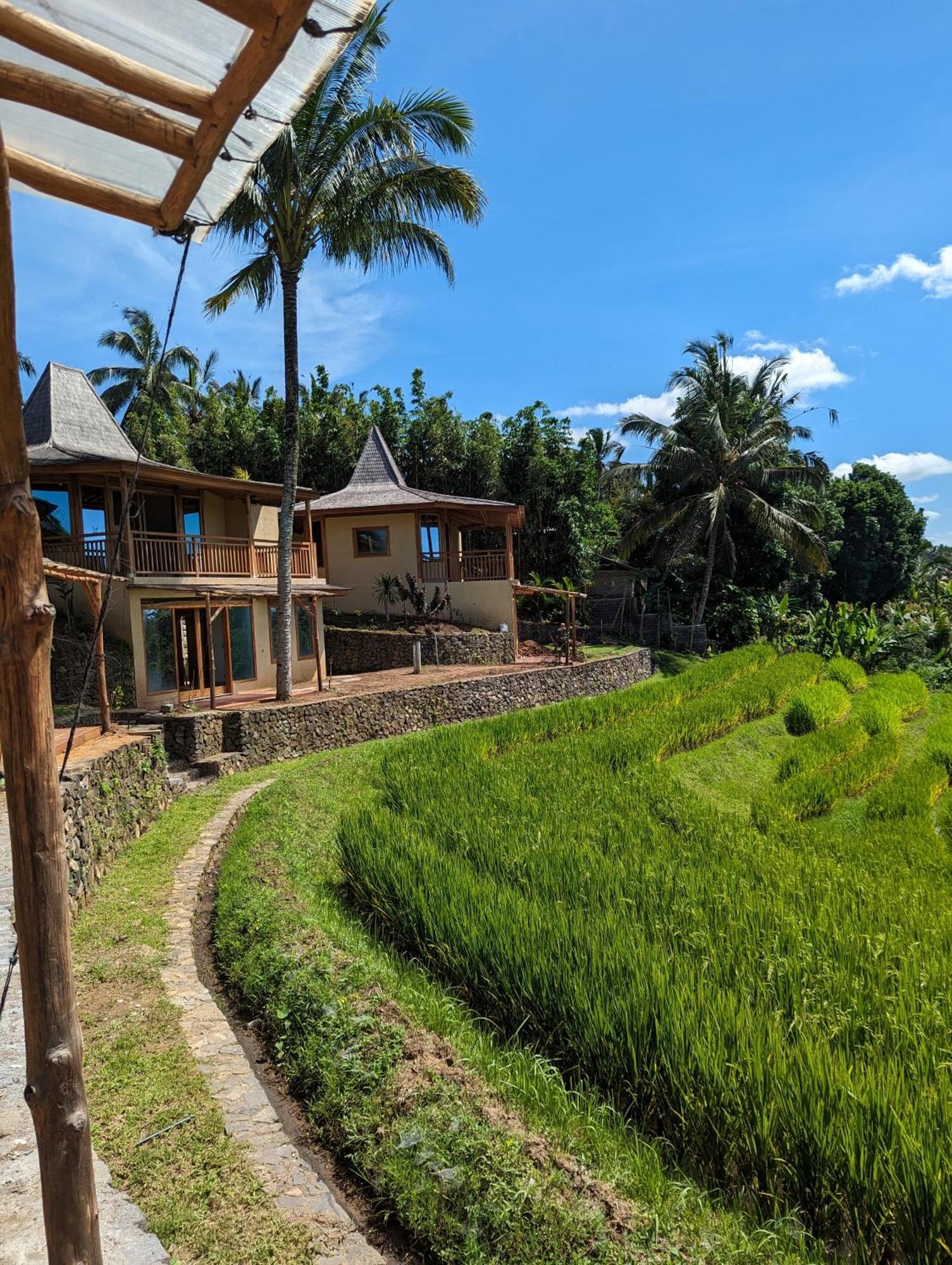 Puri Dajuma Terrace Eco Lodge & Spa Selemadeg  Exteriör bild